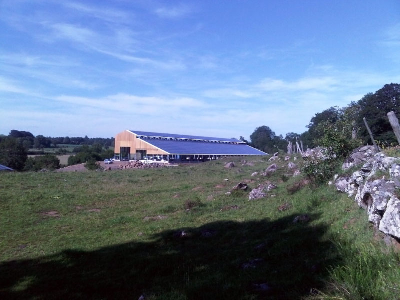 Image 2